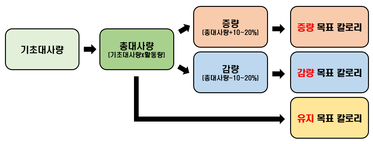 다이어트 칼로리 계산