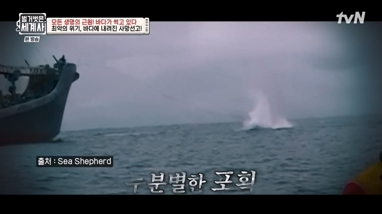 벌거벗은 세계사.E90.230315p-NEXT.mp4_20230419_212529.170.jpg
