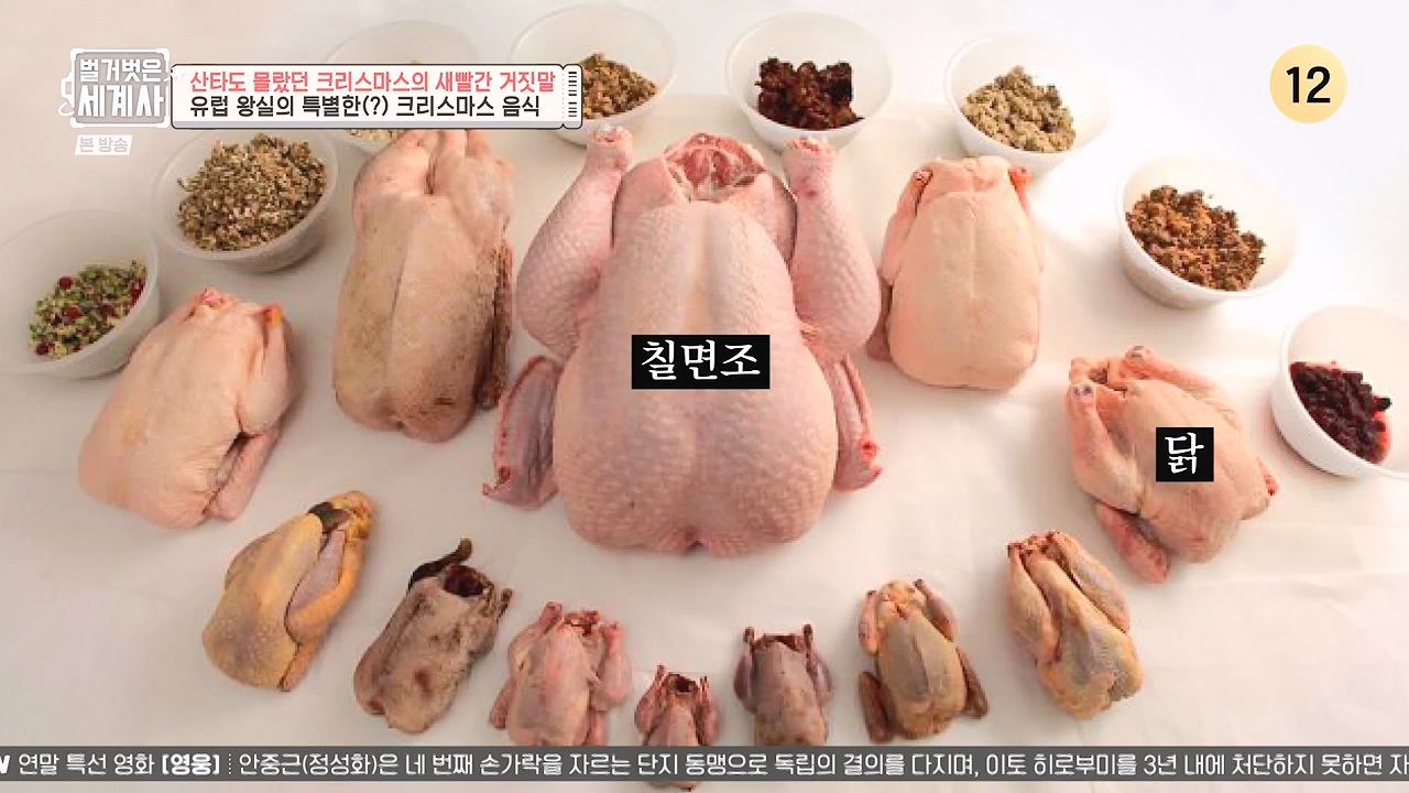 벌거벗은 세계사.E130.231220p-NEXT.mp4_20240623_181007.486.jpg