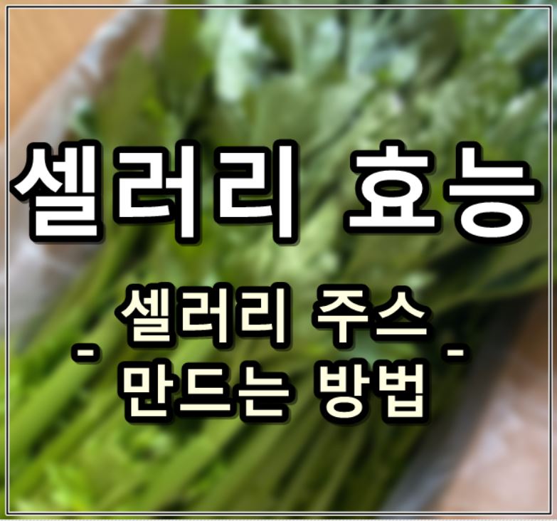  셀러리 효능 :: 셀러리 주스 즙 만드는 방법