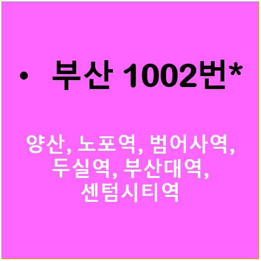  [급행] 부산 1002번버스 : 양산, 노포역, 남산역, 두실역, 부산가톨릭대, 부산대역