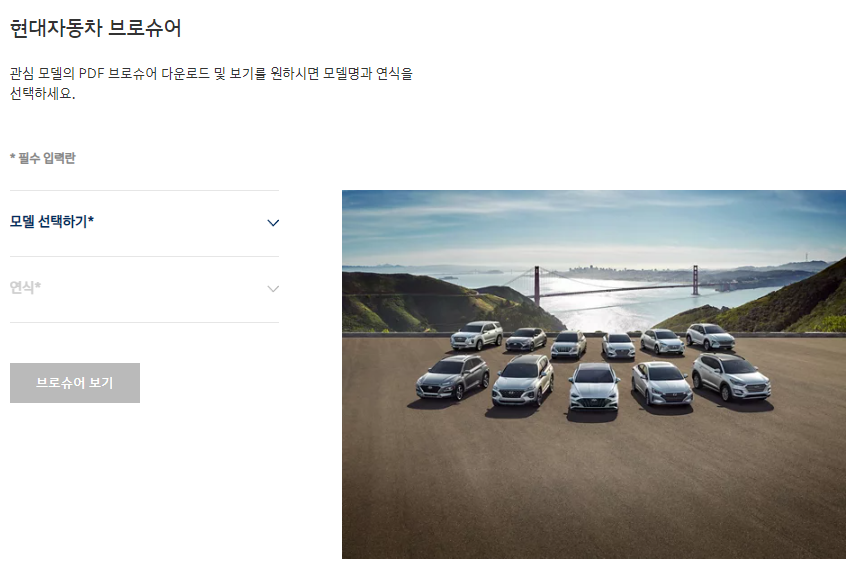 현대차 중고차 사업 : 판매&#44; 구입&#44;경매까지 한번에