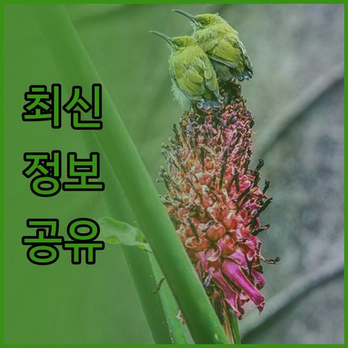 후쿠오카 텐진 근처 호텔 3곳, 장단