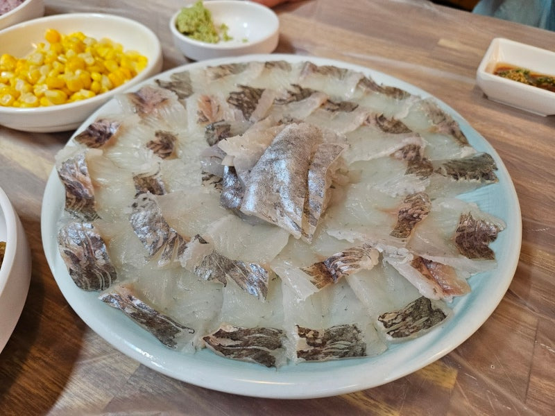 나폴리우럭 사진 2