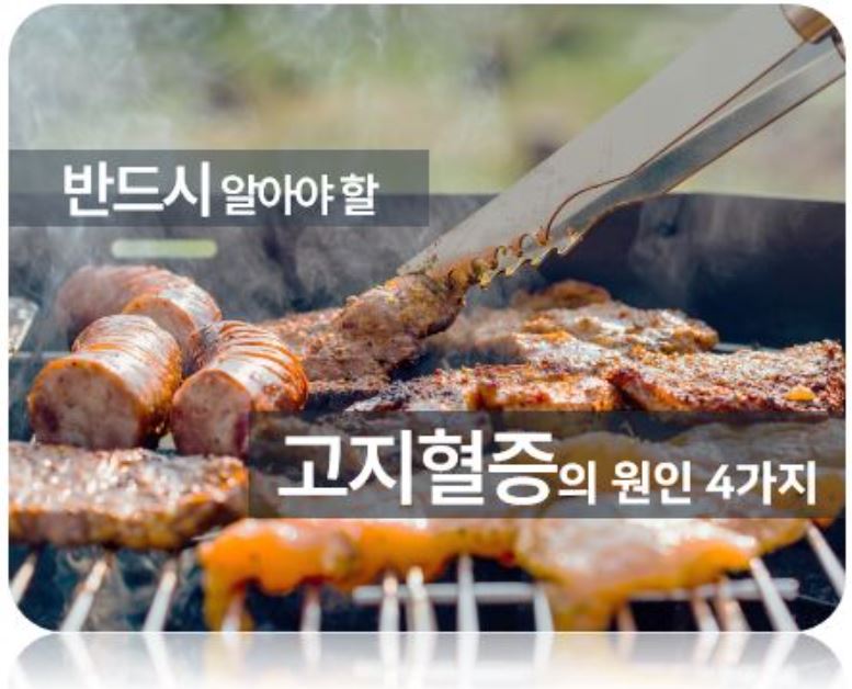 고지혈증 원인