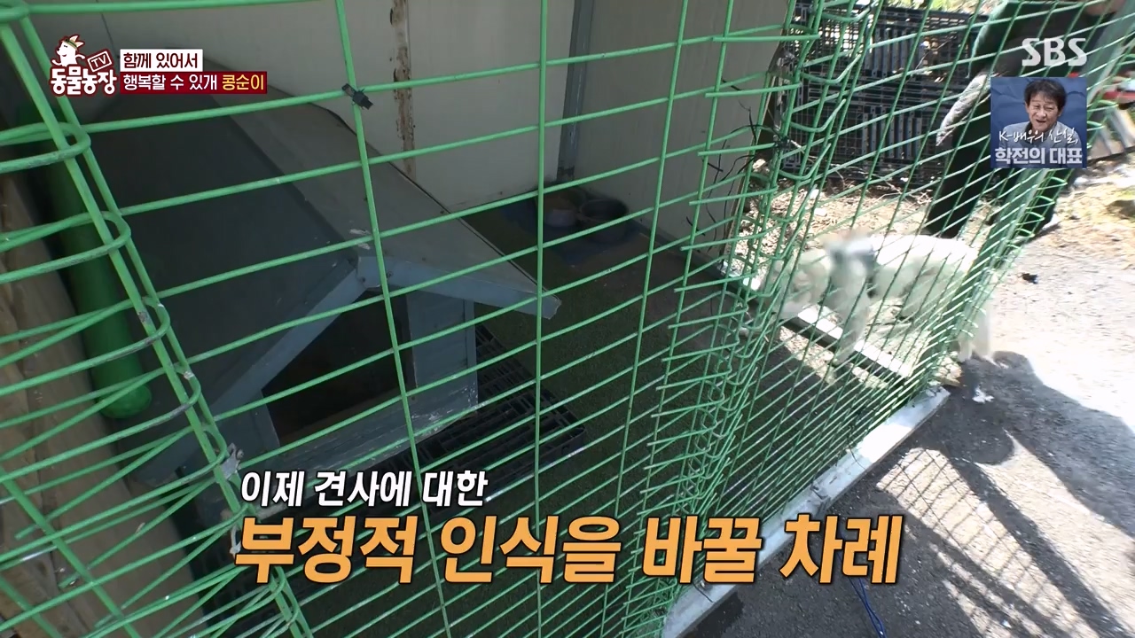 TV 동물농장.E1168.240422p-NEXT.mp4_20240421_170946.891.jpg