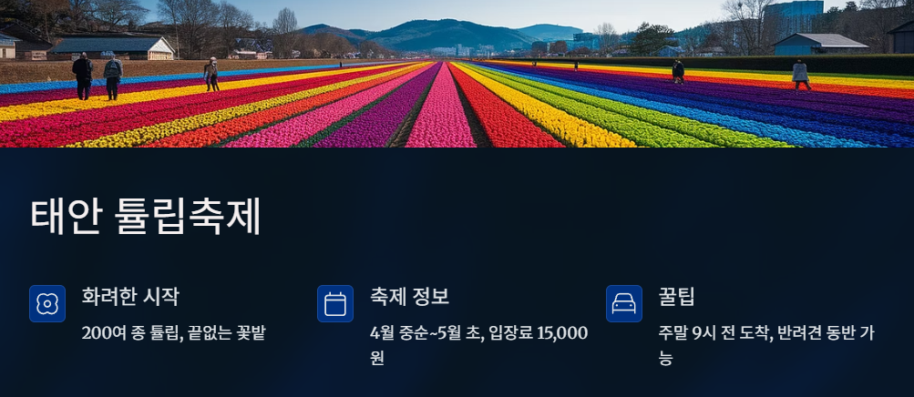 태안 튤립축제 축제정보