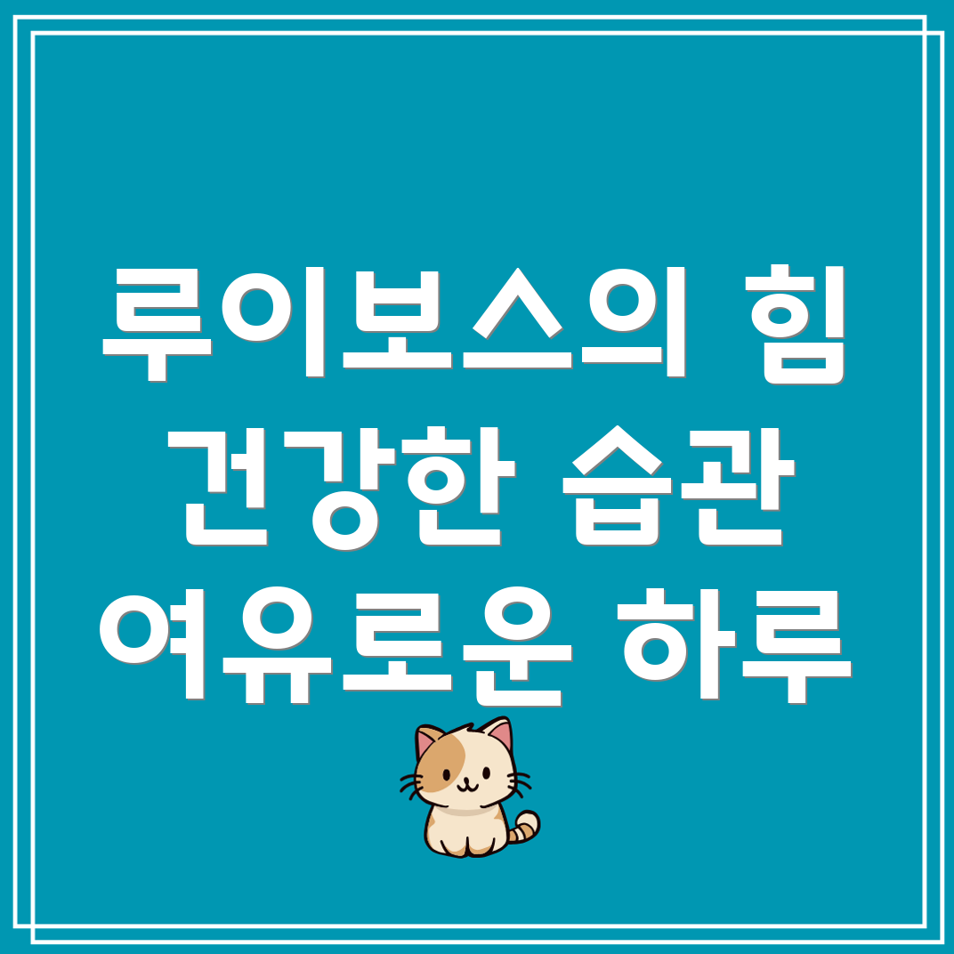 루이보스 효능