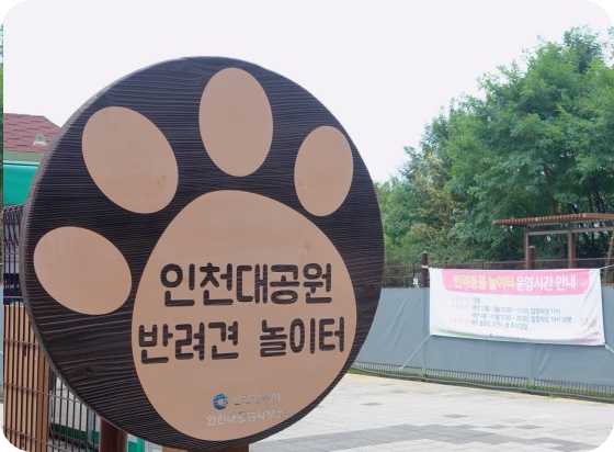 반려동물산책코스추천5