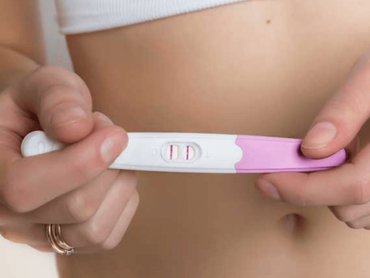 임신테스트기-두줄