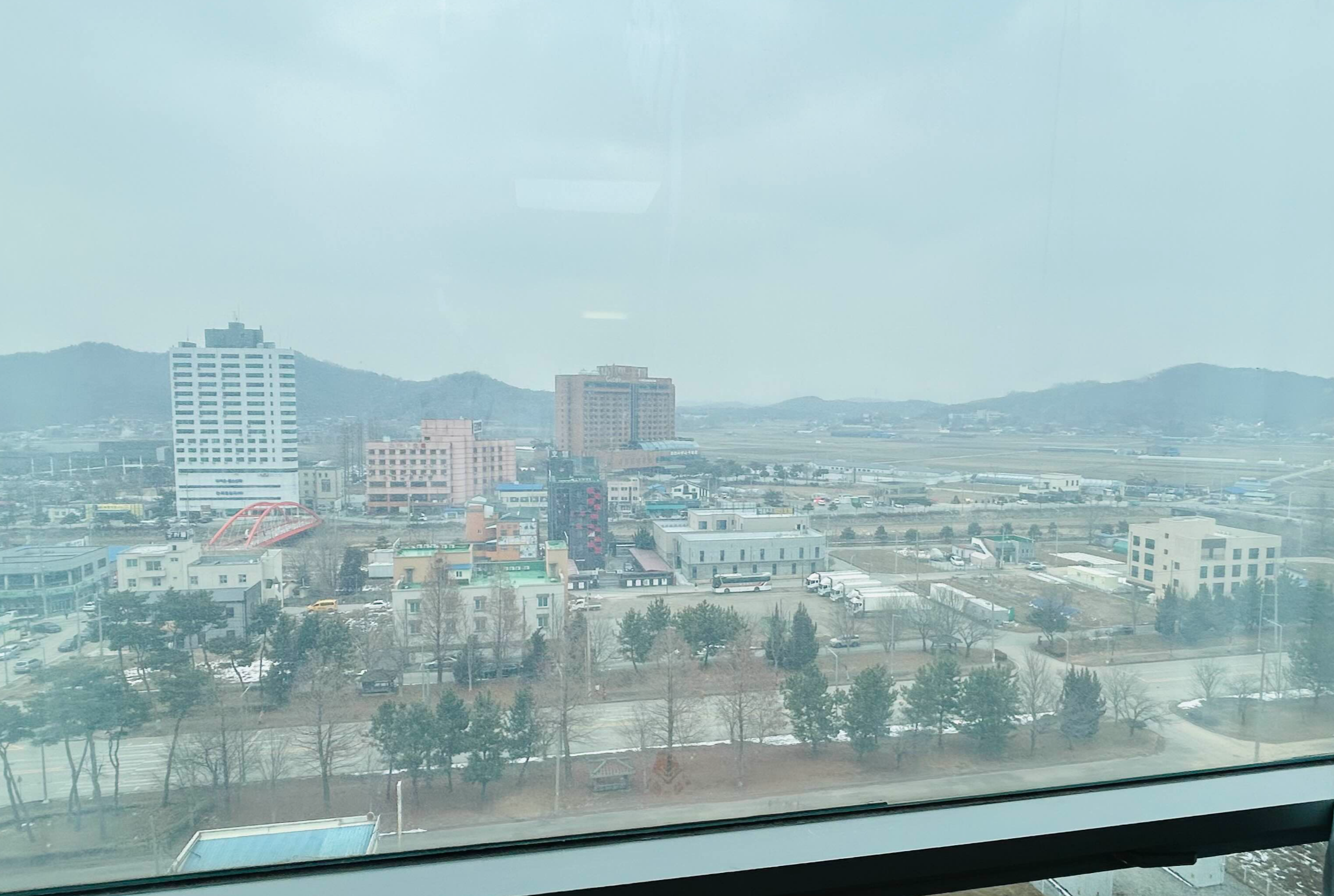더 위트 도고