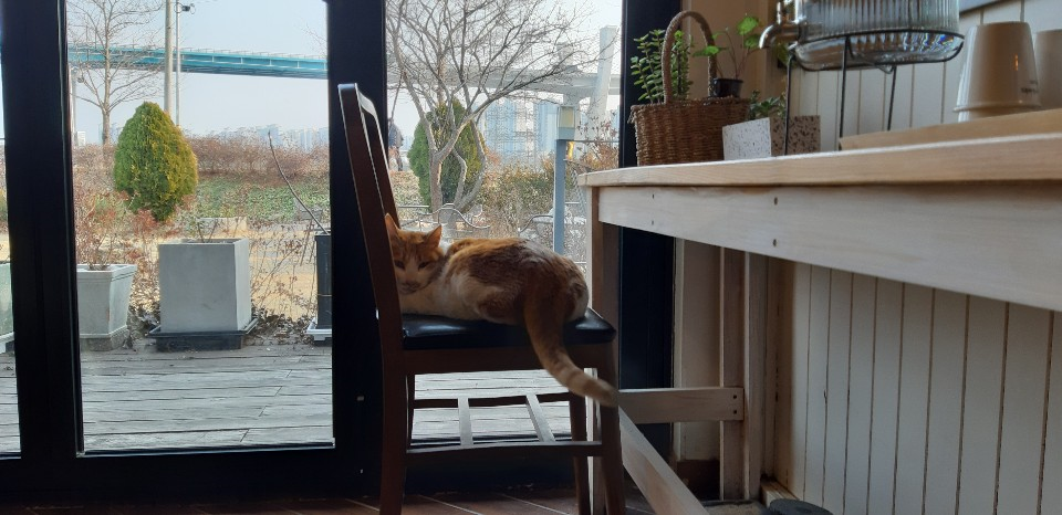  티스토리에 올린 동영상이 모조리 삭제 됐어요.