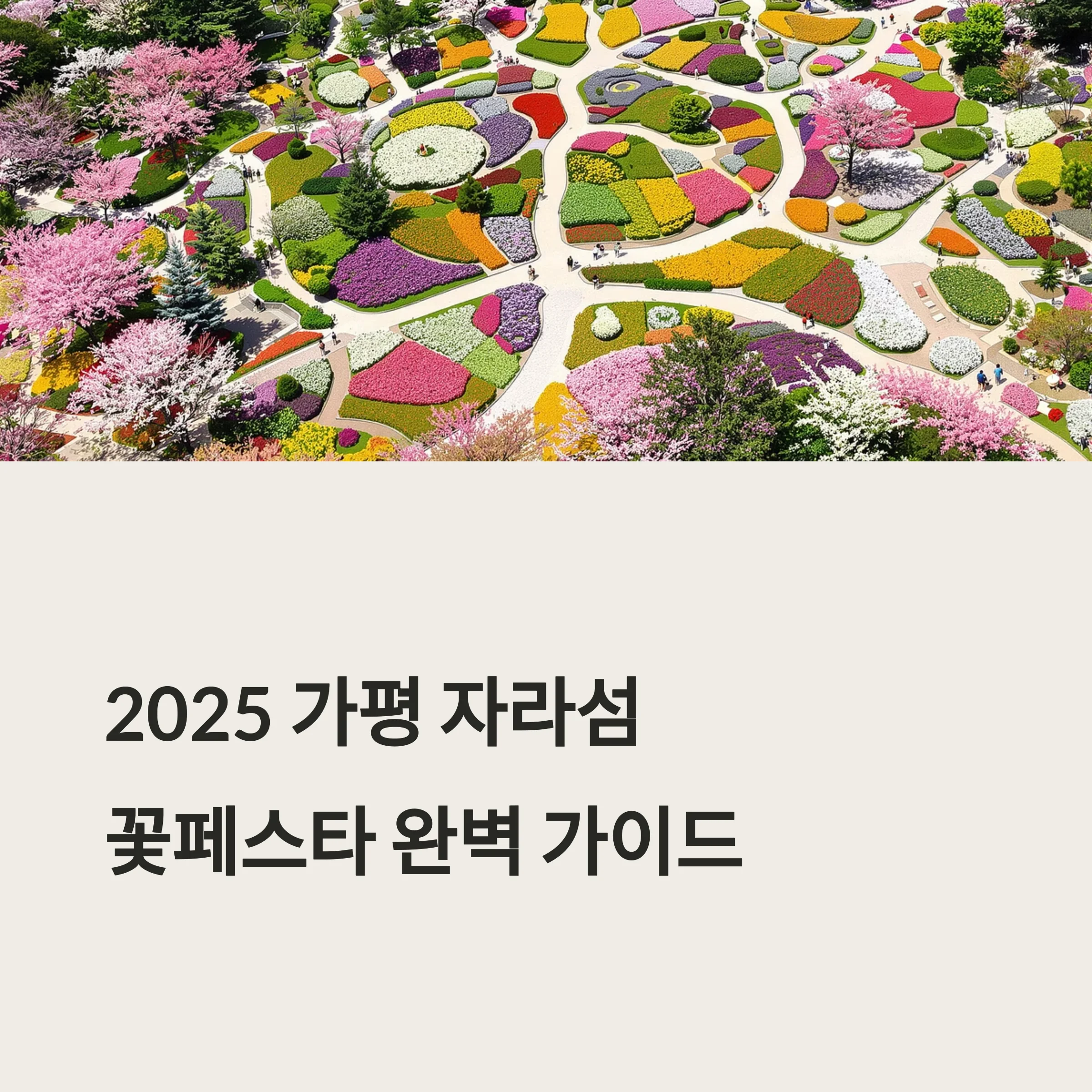가평 자라섬 꽃페스타