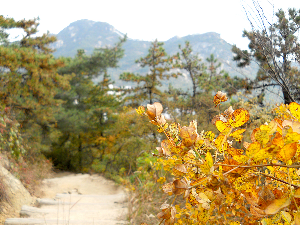 다이어트에 걷기 좋은 코스: 독립문(獨立門)에서 홍제동까지 안산자락길(Ansan Jarakgil)을 걷다