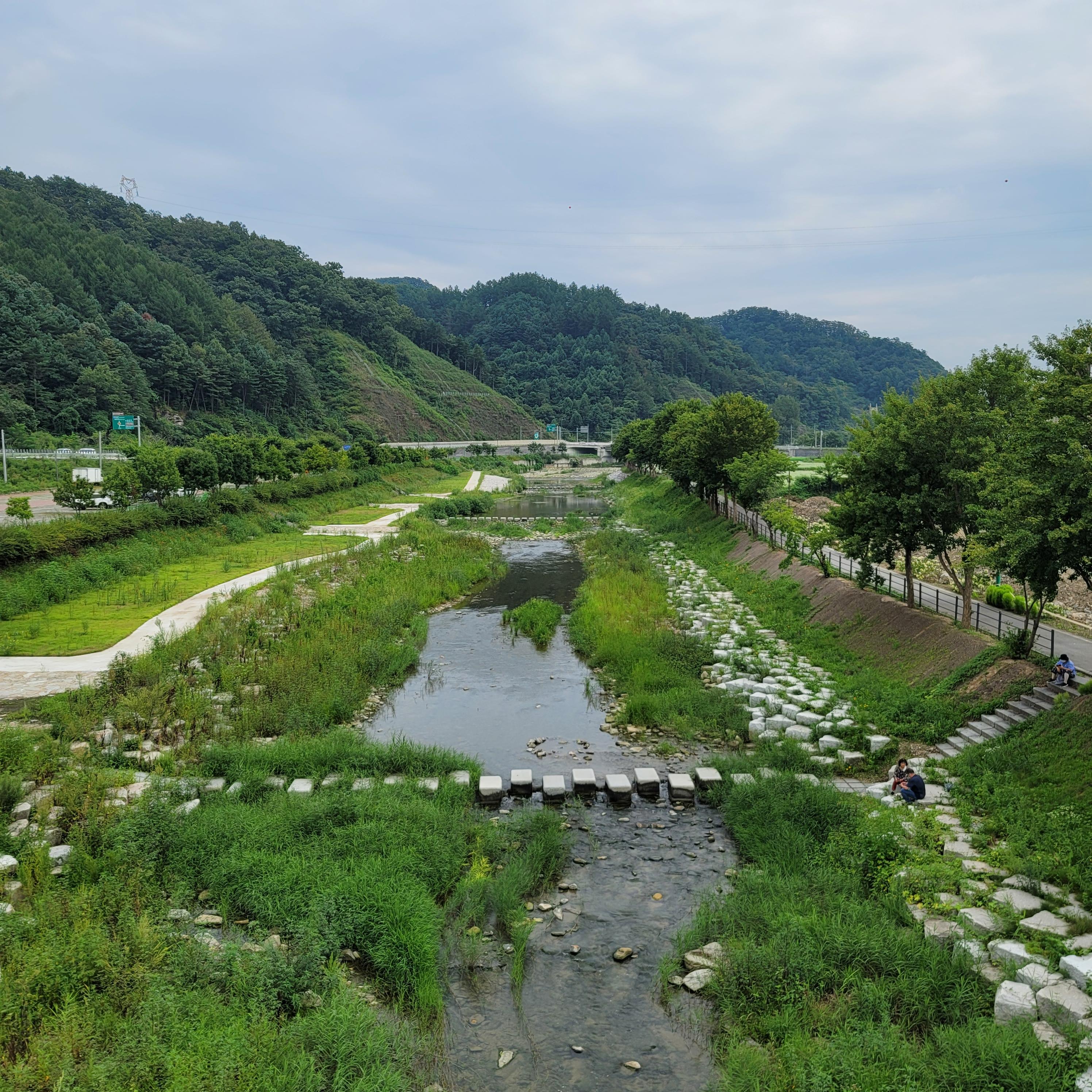  [대천] 서울 근교 당일치기 대천 출렁 다리 - 정말 출렁거릴까?