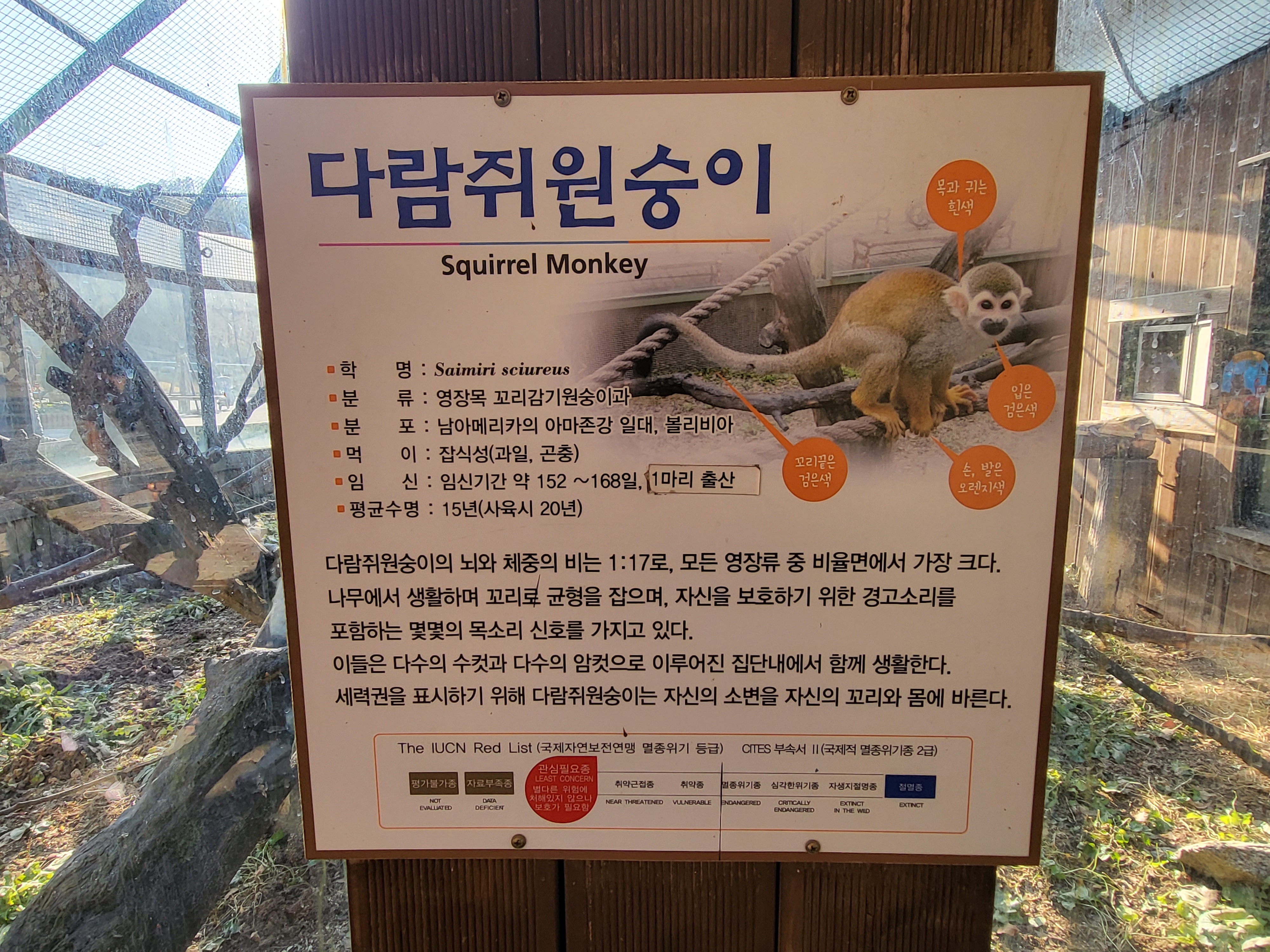 청주 동물원 - 다람쥐 원숭이 안내판