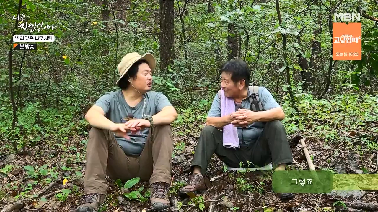 나는 자연인이다.E571.230914p-NEXT.mp4_20230914_202148.364.jpg