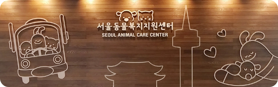 서울동물복지지원센터 문제 행동 반려견 1:1 행동 교정 훈련 무료 프로그램 소개 참여 대상 짖음 분리불안 배변 산책 신청 방법