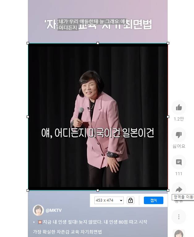 알캡쳐 크기지정 화면캡쳐 방법