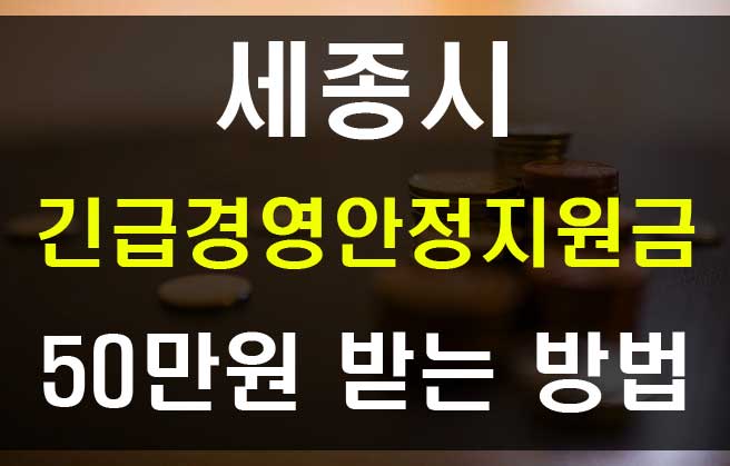  세종시 소상공인 긴급경영안정지원금 50만원 신청방법과 자격 조건