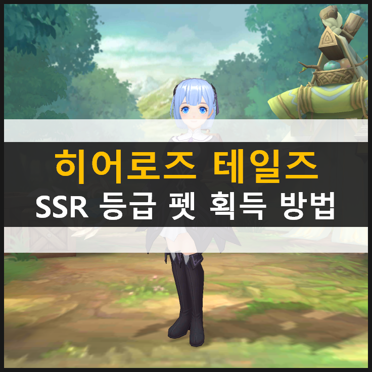  [히어로즈 테일즈] 쿠폰 5종 및 펫 리세마라 방법 공략