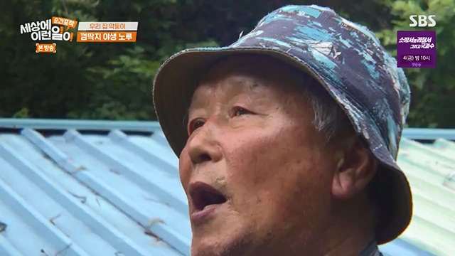 순간포착 세상에 이런일이.E1237.230716p-NEXT.mp4_20230716_174151.145.jpg