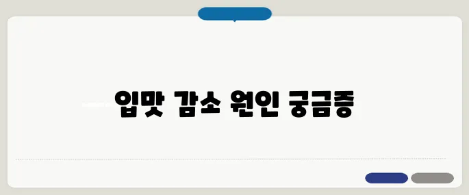 입맛이 없는 이유 정리 스트레스와 소화기 문제 의심