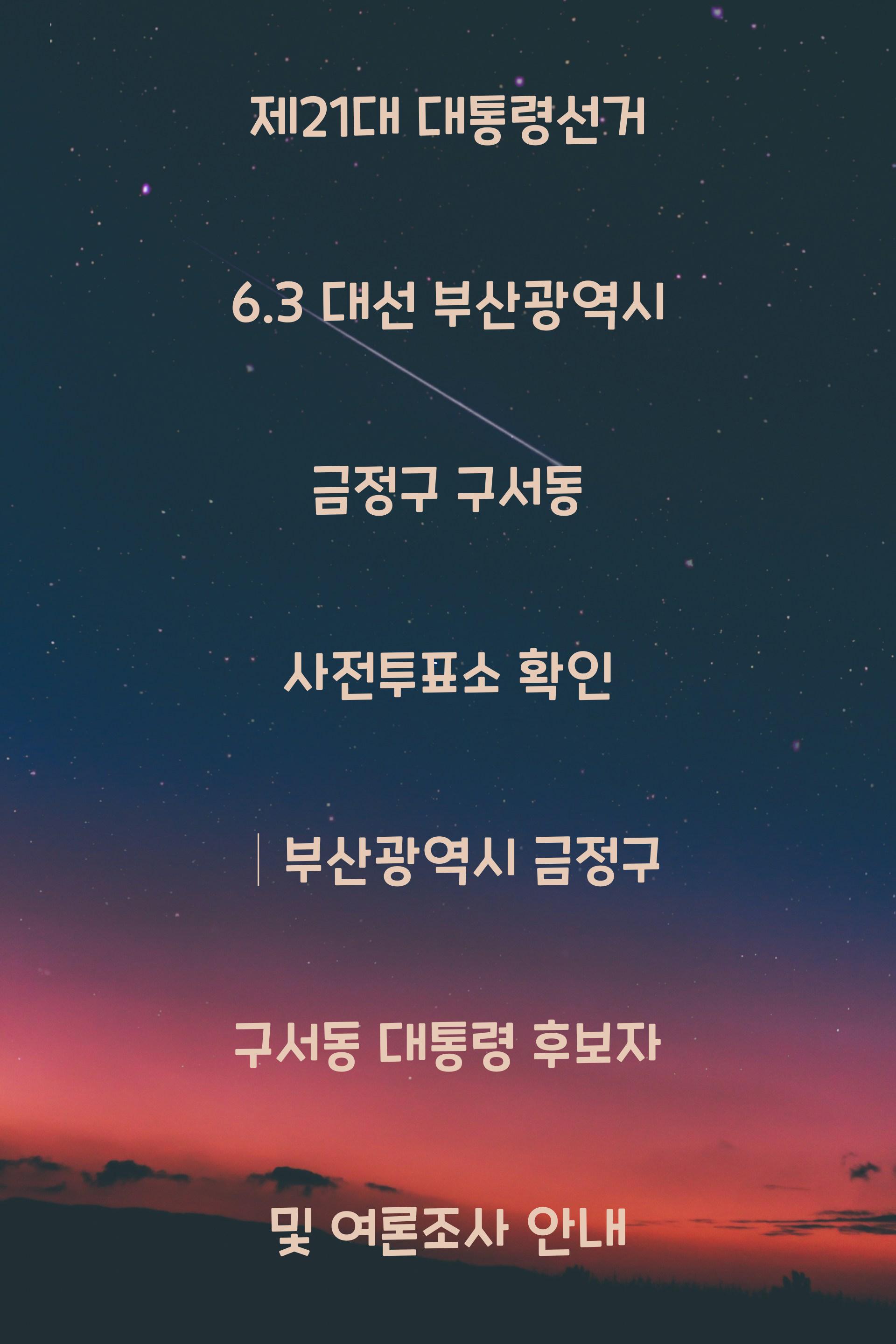 제21대 대통령선거 6.3 대선 부산광역시 금정구 구서동 사전투표소 안내 │부산광역시 금정구 구서동 대통령 후보자 및 여론조사 확인