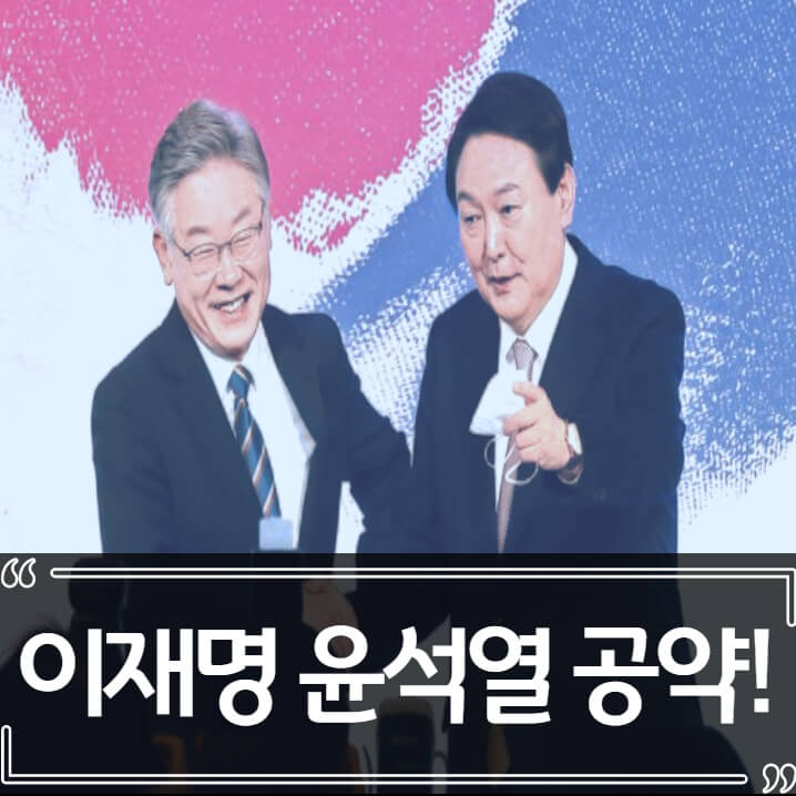  대통령 선거 이재명, 윤석열 공약 - 부동산 정책