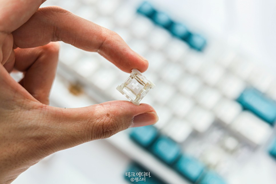 CK01 PBT SL 내돈내산 후기 가성비 저소음 키보드, 콕스 7