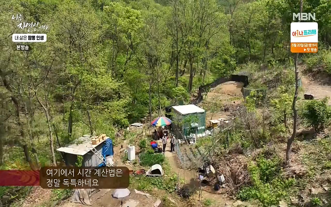 나는 자연인이다.E502.220519p-NEXT.mp4_20220519_182337.263.jpg