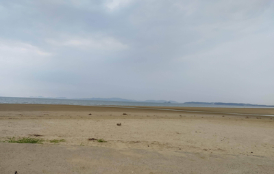 몽산포 물때표 태안 : 몽산포 물때표확인 11