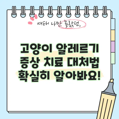 고양이 알레르기 증상 치료 대처법 확실히 알아봐요!