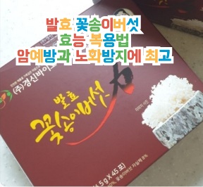 발효-가루-효천-꽃송이버섯-효능-복용법