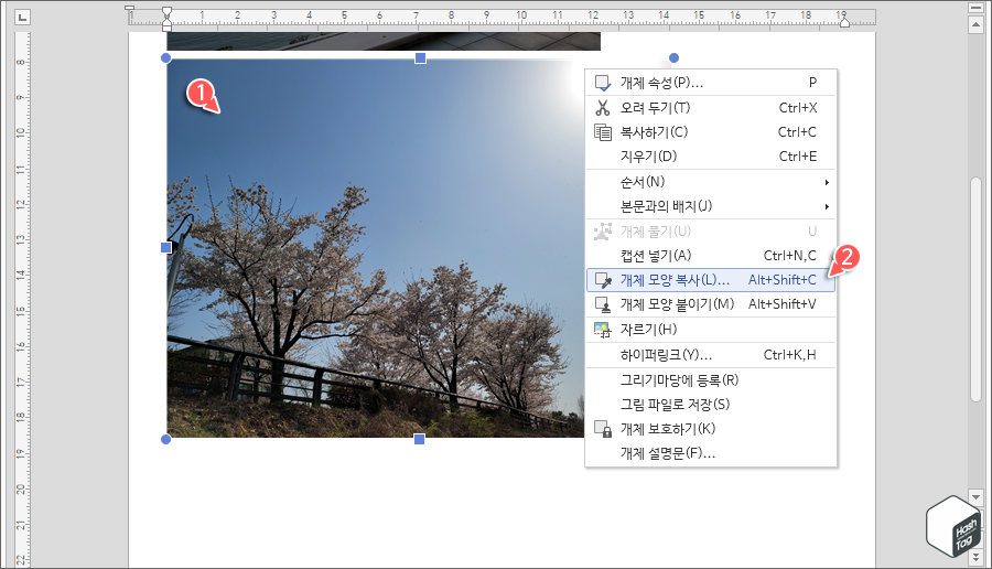 선택한 이미지 > 개체 모양 복사
