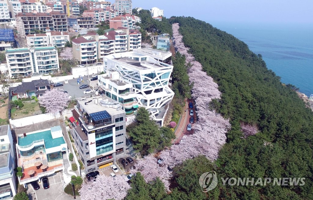 해운대 달맞이 길