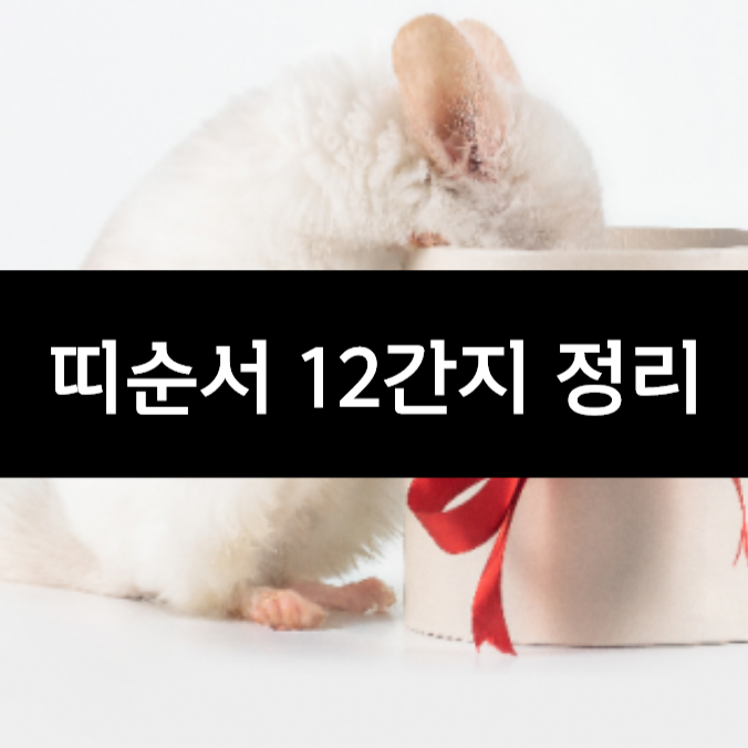  띠순서 알아두면 좋은 상식