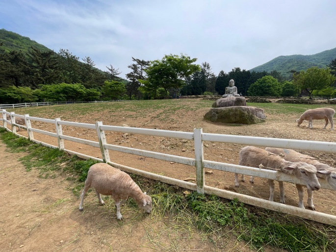 남해 양마르뜨