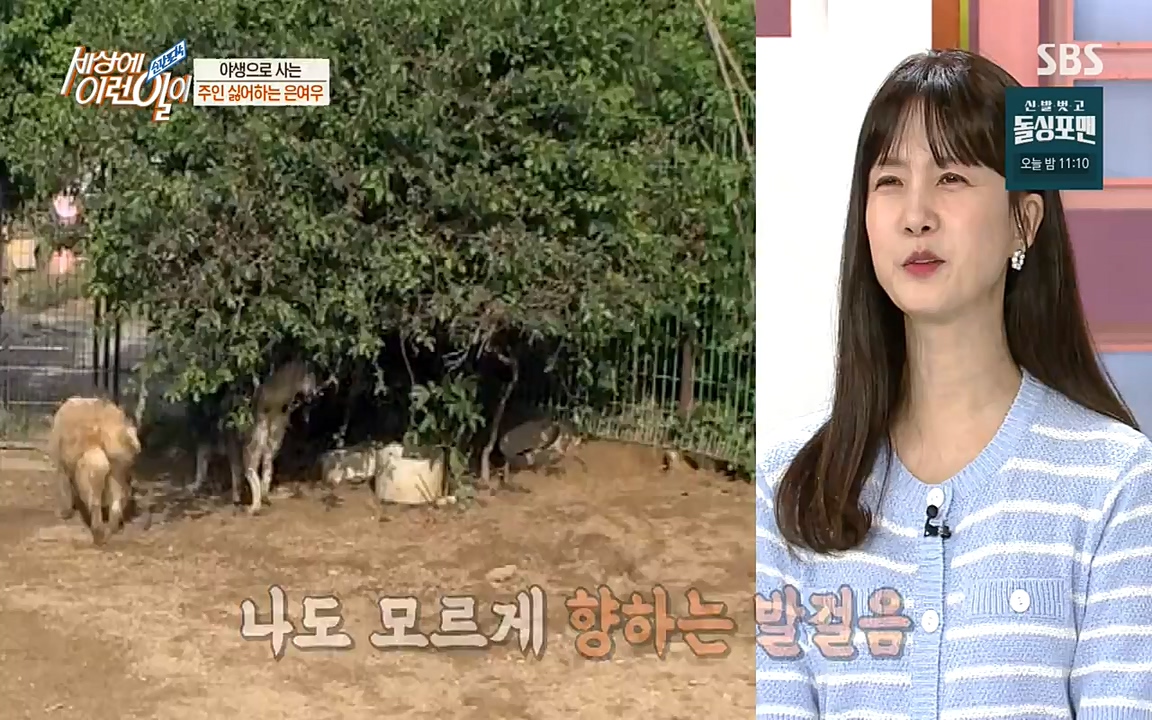 순간포착 세상에 이런일이.E1179.220511p-NEXT.mp4_20220511_175825.339.jpg
