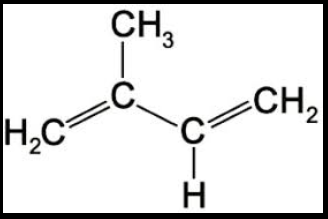 효능 부작용 정리 메스틱검 매스틱검 5