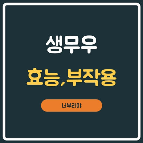  생무우 효능 & 부작용부터 보관법까지 알고 드세요~!