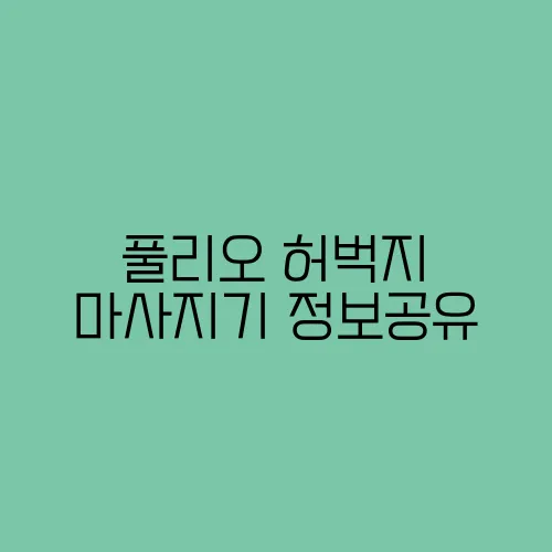 풀리오 허벅지 마사지기 정보공유