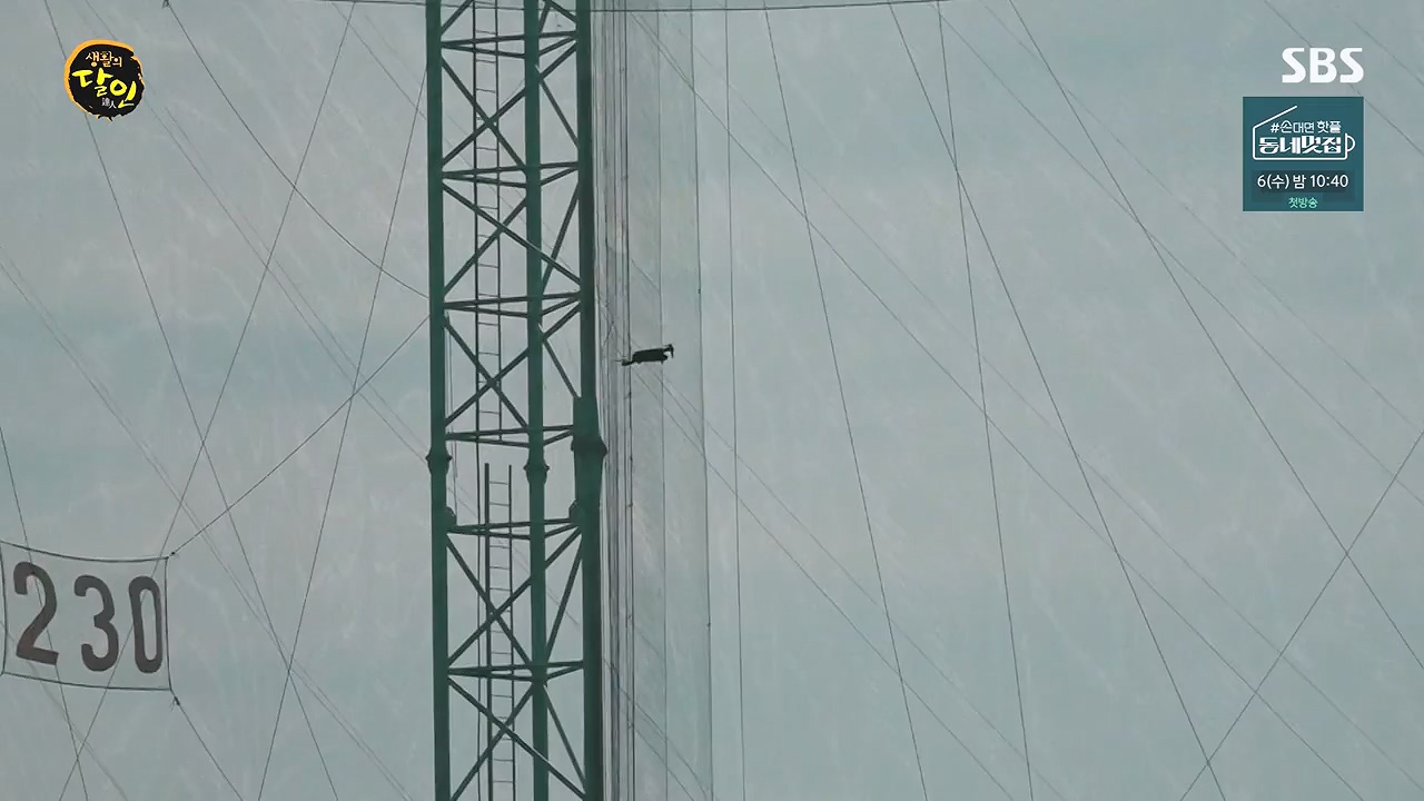 생활의 달인.E904.230905p-NEXT.mp4_20230905_202739.277.jpg