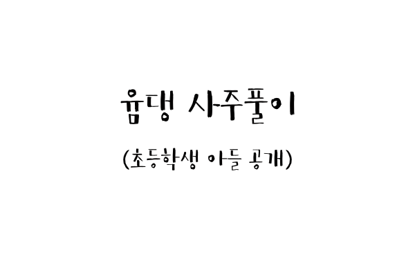  윰댕 사주풀이 (초등학생 아들 공개)
