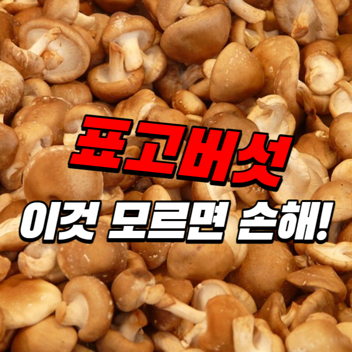 표고버섯