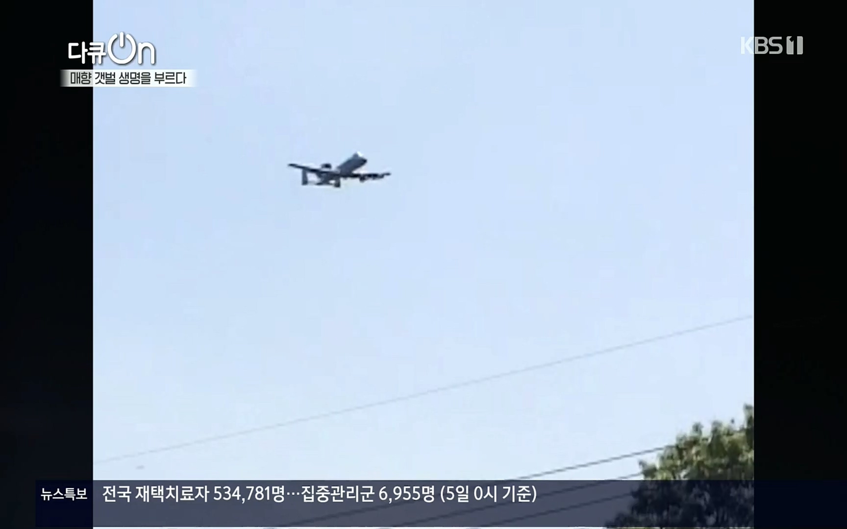 다큐 On.E151.220805p.H264-F1RST.mp4_20220806_193402.010.jpg