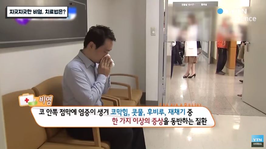  만성 비염에 좋은 차