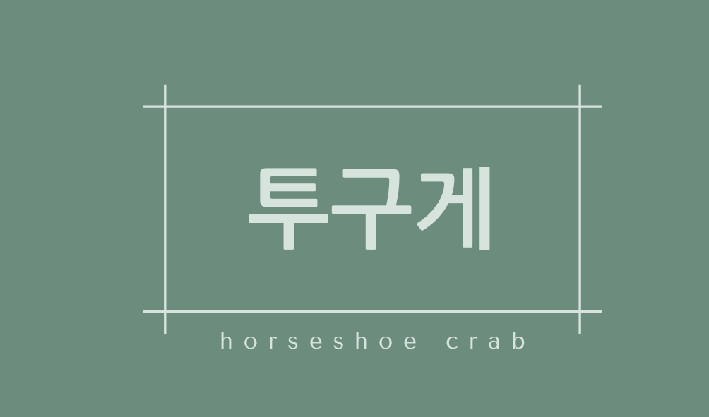 투구게(horseshoe crab)