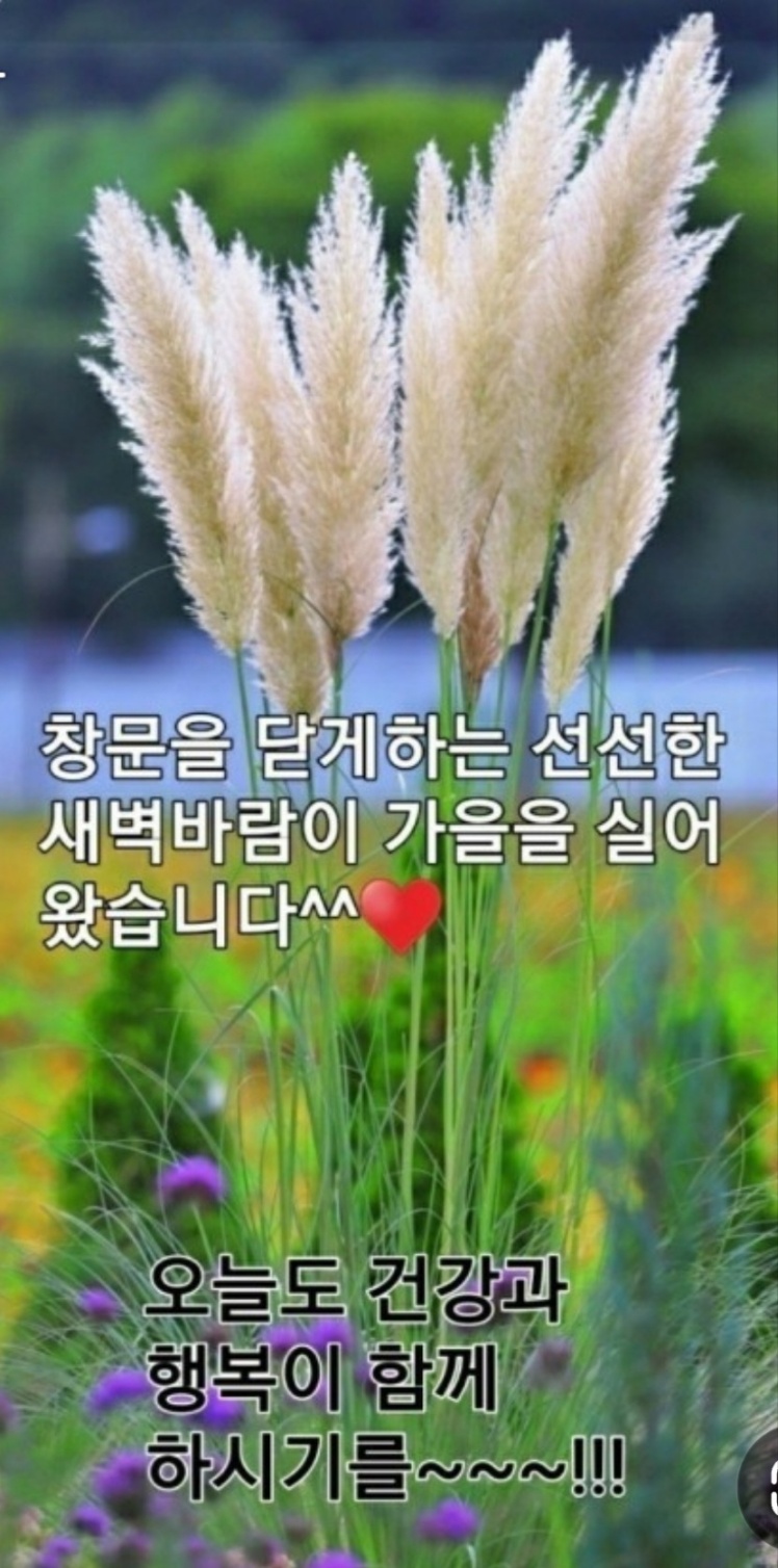 공사판 이미지
