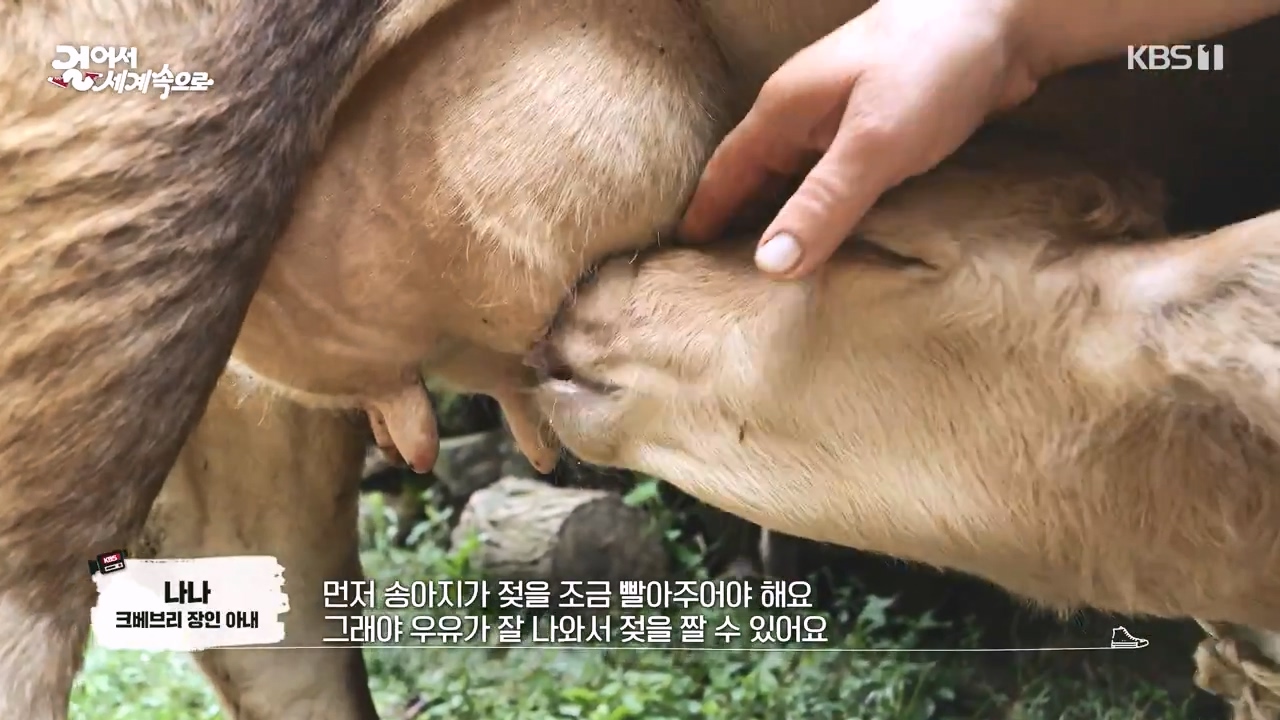 걸어서 세계속으로.E812.231008p-NEXT.mp4_20231010_205738.840.jpg